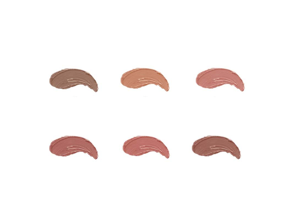 Labiales Matte - Amuse Birthday Suit LIP2145 - Venta al Mayor 6 und (2.29$/Unidad)