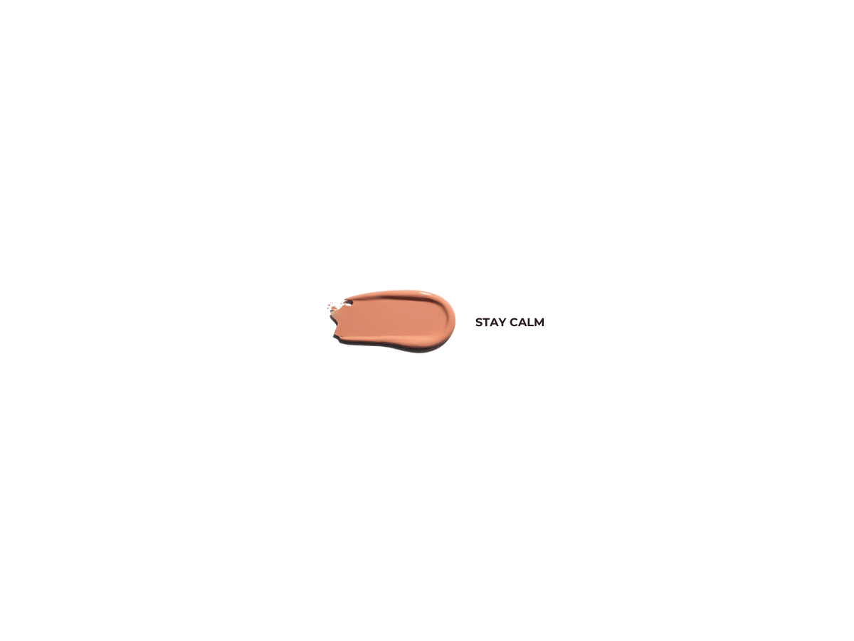 Beauty Creations Velvet Stay - Labial